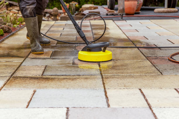 Best Fence Cleaning and Maintenance in West Athens, CA
